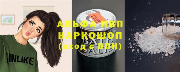 гашик Белоозёрский